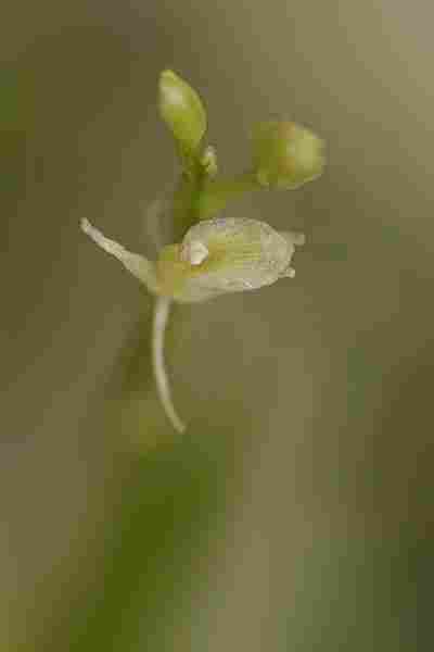 Agrandir IMG_4218.jpg